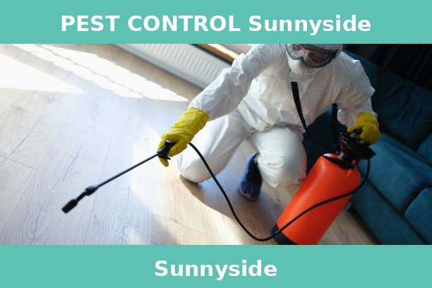PEST CONTROL Sunnyside